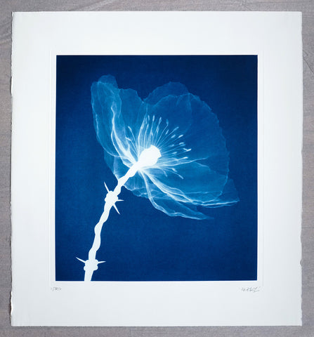 'Masterpeace' (Blue) print
