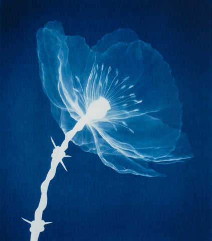 'Masterpeace' (Blue) print