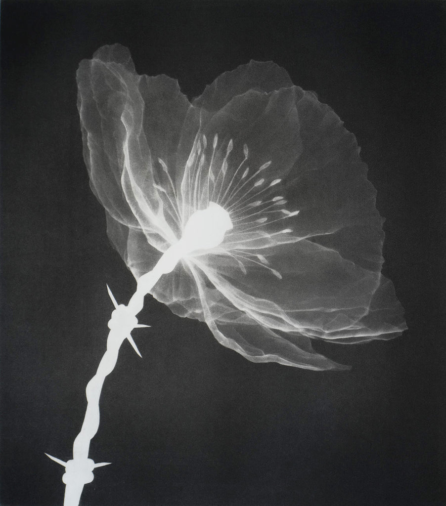 'Masterpeace' (Noir) print