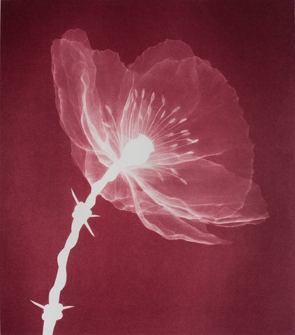 'Masterpeace' (Red) print