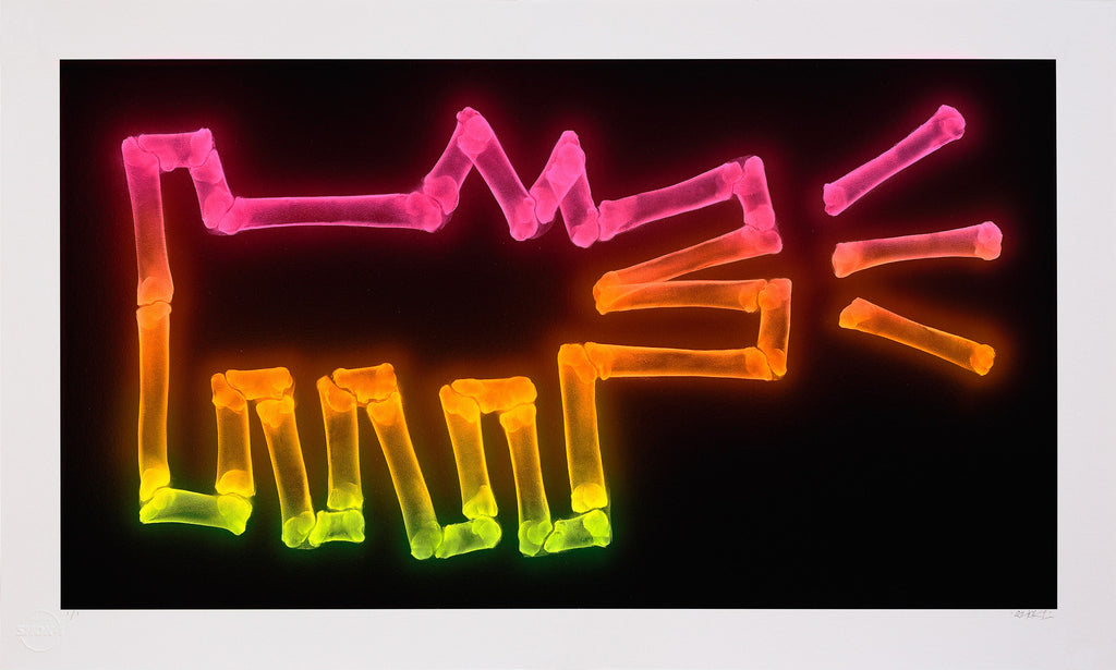 ‘Dog With Bones (Miami Neon)’ 1/1