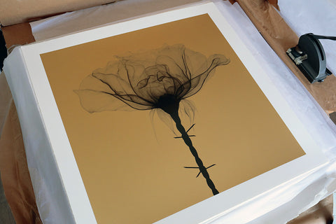 'Thorns' print