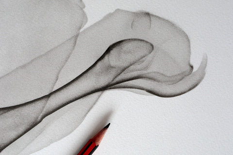 'Thorns' print